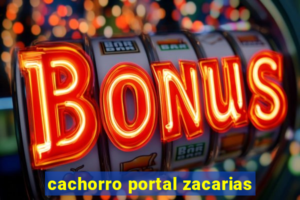 cachorro portal zacarias